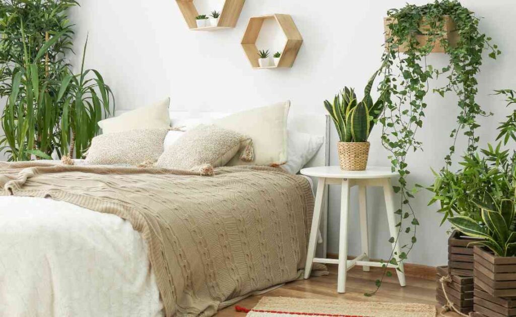 interior plants for bedroom decor